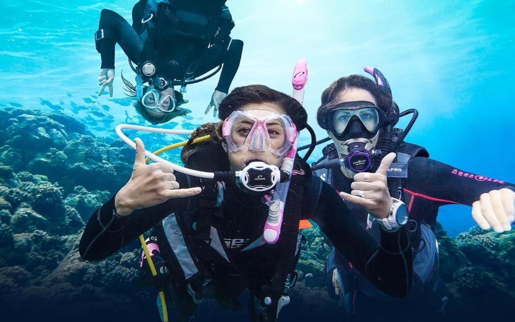 Nautic Lägenhet L'Ametlla de Mar Exteriör bild