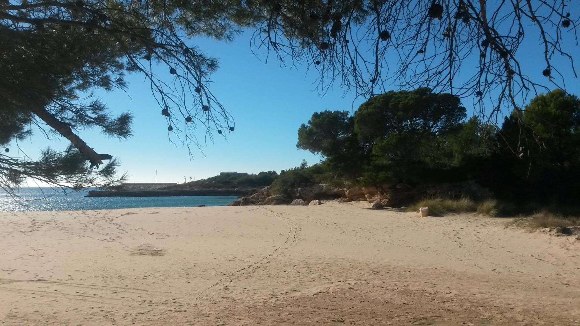 Nautic Lägenhet L'Ametlla de Mar Exteriör bild