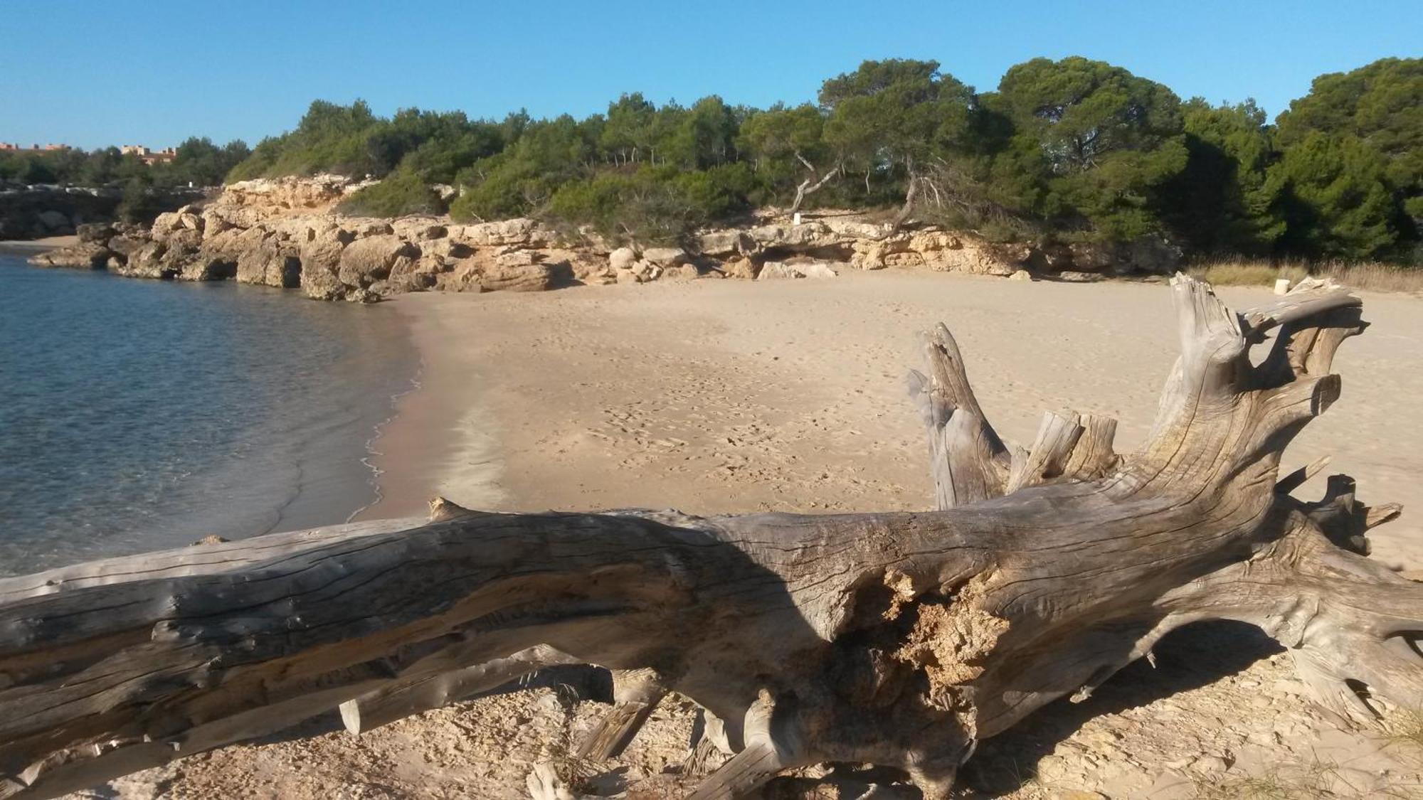 Nautic Lägenhet L'Ametlla de Mar Exteriör bild
